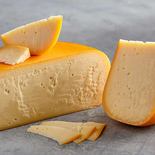 Gouda